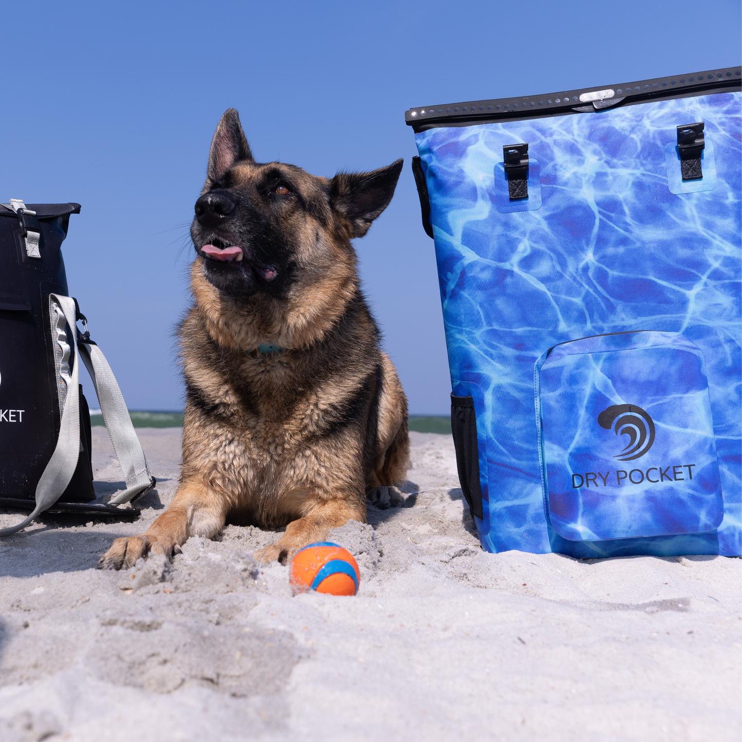 Dry Pocket - Waterproof Floating Cooler Backpack Dry Bag - Aqua Blue - Bag modelled with dog