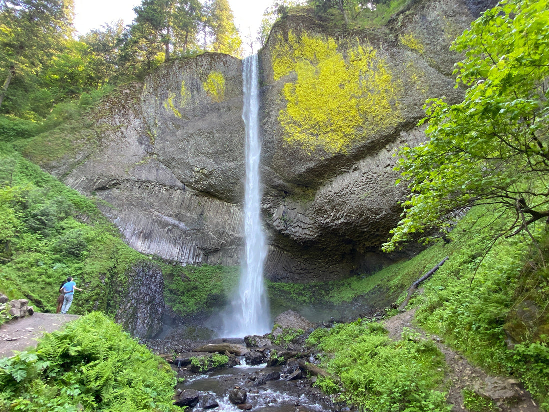 Upper & Lower Latourell Falls Loop Trail - Guy W. Talbot State Park