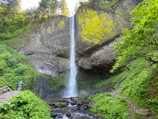 Upper & Lower Latourell Falls Loop Trail - Guy W. Talbot State Park