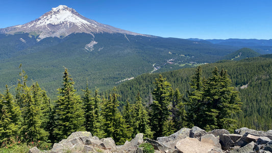 Tom Dick & Harry Mountain Trail