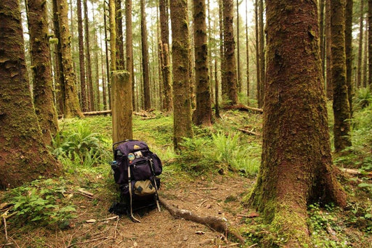Backpack on the side of the Oregon Coast Trail