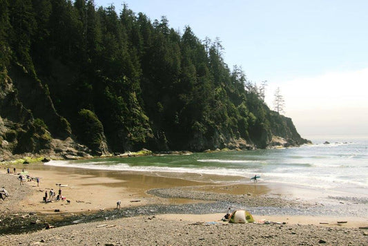 Oswald West State Park: The Essential Field Guide