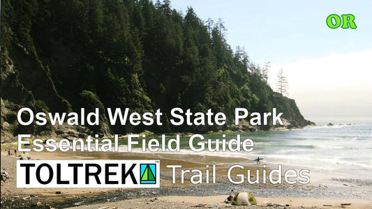 Oswald West State Park: The Essential Field Guide