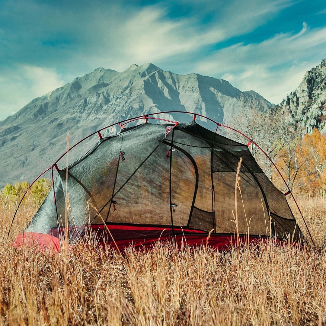 Near Zero Outdoor Gear - 2P DynaLite Tent - 2 person tent setup at campsite with star-gazing mesh design