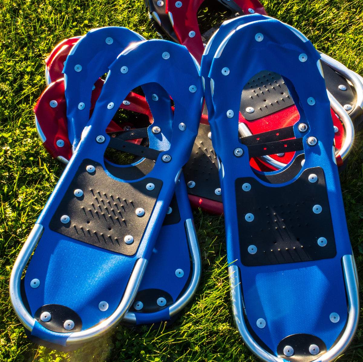 NeviTREK Tracker Series Snowshoe