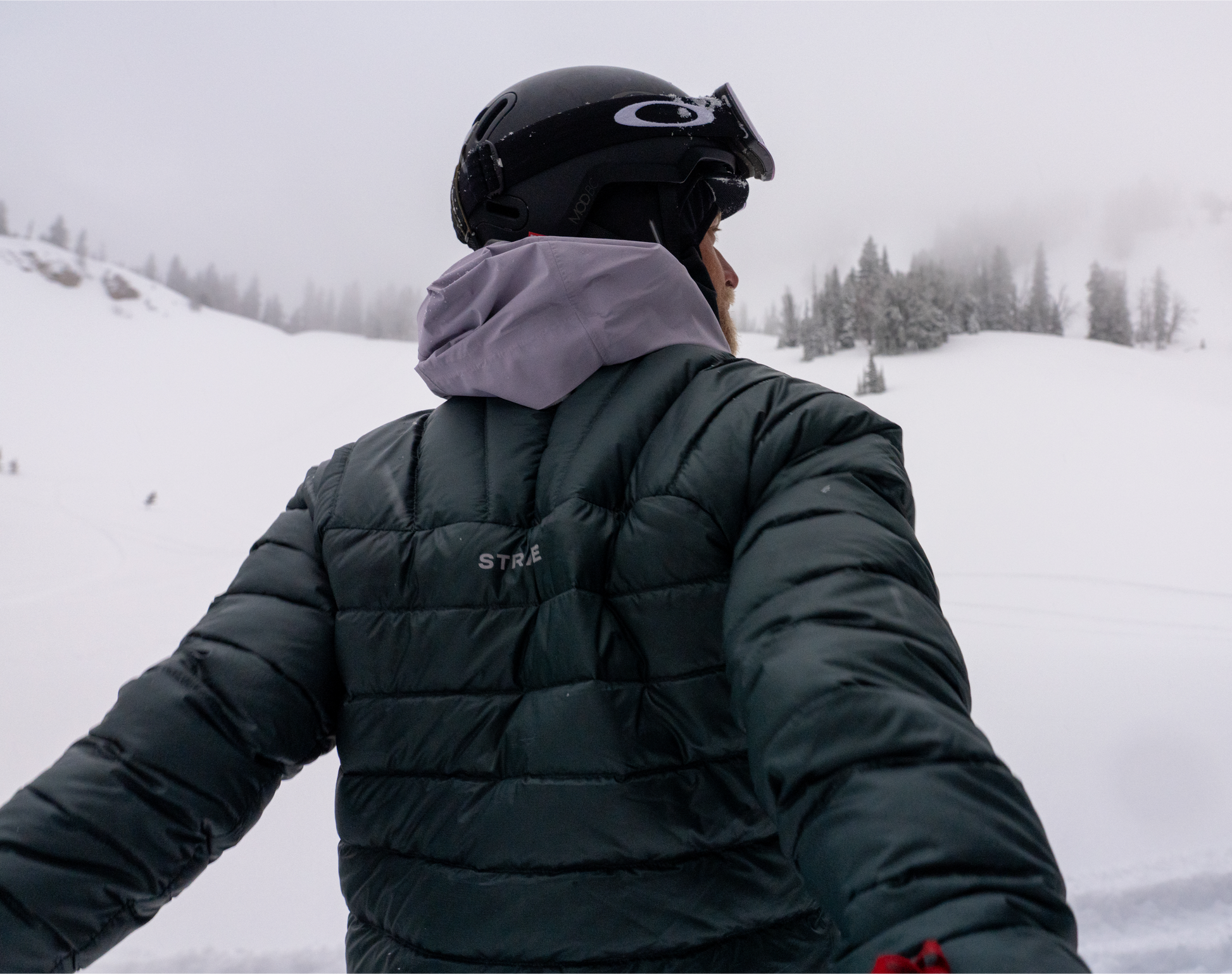 Strafe Outerwear - Palisade Down Insulator Jacket - Man wearing jacket, back - Deep Forest
