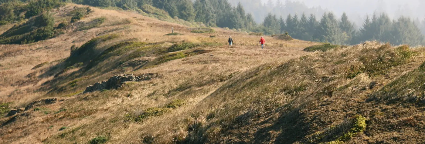 Two hikers on a grassy hill with trees in the background. (Toltrek banner image for Hiking Gear collection page)