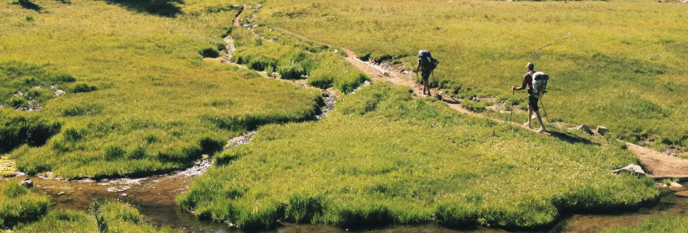 Two hikers with backpacks walking along a trail in a grassy field.  (Toltrek banner image for Men's Apparel collection page)